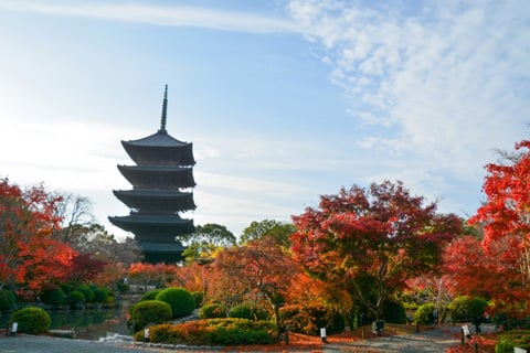 東寺の五重塔