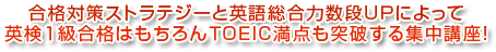 英検1級合格&TOEIC満点突破集中講座 合格対策ストラテジーと英語総合力数段UPによって英検1級合格はもちろんTOEIC満点も突破する集中講座!英検1級突破5ヶ月集中講座